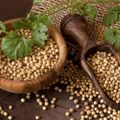 Coriander Seeds - 200 grms