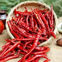 Dry Red Chili - 100 grms